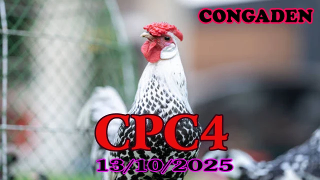 Clip gà đá CPC4 Thomo hôm nay phát lại ngày 13/10/2025 1 Clip gà đá CPC4 Thomo hôm nay phát lại ngày 13/10/2025
