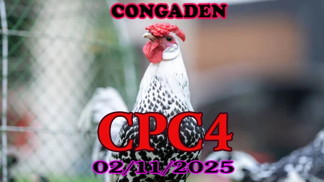 Xem lại đá gà Thomo CPC4 ngày 02/11/2025 hôm nay