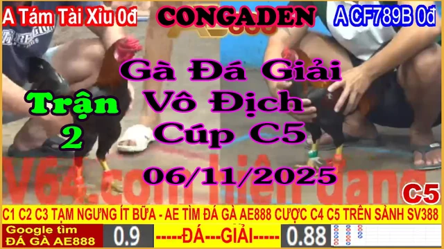 Gà Đá Giải C5 Trận 2: Anh Tám Tài Xỉu (0đ) vs Anh CF 789B (0đ)