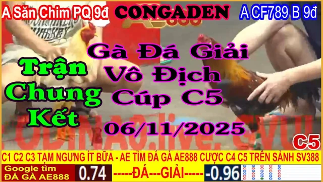 Gà Đá Giải Trận Chung Kết: A.Kẽ săn chim PQ (9đ-đỏ) vs A.CF789 B (9đ-xanh)