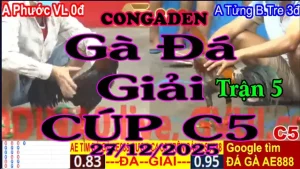 Gà Đá Giải C5 Trận 5 A.Phước V.Long (0đ-đỏ) Vs A.Tửng B.Tre (3đ-xanh)-Hang Cân 3.4Kg