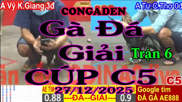 Gà Đá Giải C5 Trận 6 A.Vĩ K.Giang (3đ-đỏ) Vs A. Tư C.Thơ (0đ-xanh)-Hang Cân 3.4Kg