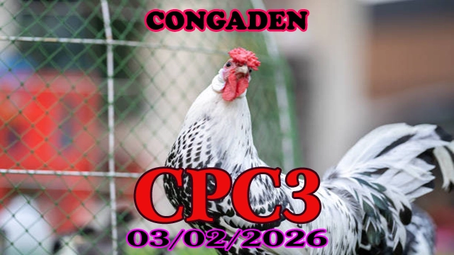 Xem đá gà Thonmo CPC3 hôm nay ngày 03022026 không giật lag